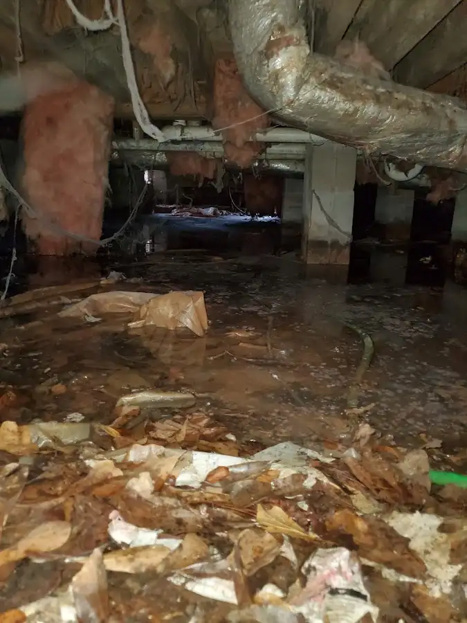 Crawl space flood assessment for Leak Detection & Repair in Stockton